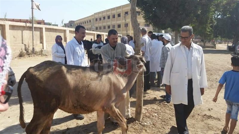 فيتو