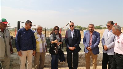 بيع الأسماك للمواطنين بأسعار مخفضة بمنافذ المحافظة في قنا