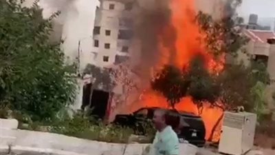 حريق لبنان يحول الأشجار والممتلكات إلى رماد (فيديو)