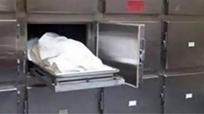 التحقيق في واقعة مقتل صاحب جيم على يد آخر بالعمرانية