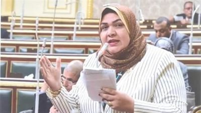 النائبة أمل زكريا توجه طلب إحاطة لتثبيت العاملين المؤقتين بالبحيرة