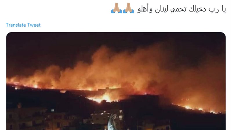 فيتو