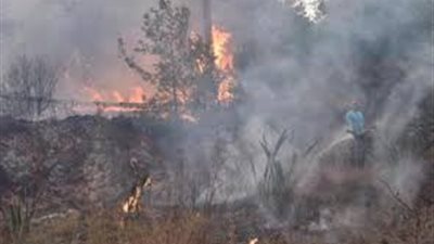 الدفاع المدني اللبناني: خطر تمدد الحرائق ما زال قائما