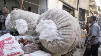 أسعار القمح المحلي بالمحافظات.. اليوم