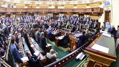 البرلمان يستعين بالجهات المتخصصة في التحفظ على أموال الإخوان
