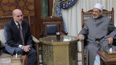 الطيب: موقف الأزهر ثابت تجاه القضية الفلسطينية وندافع عنها بالغالي والنفيس