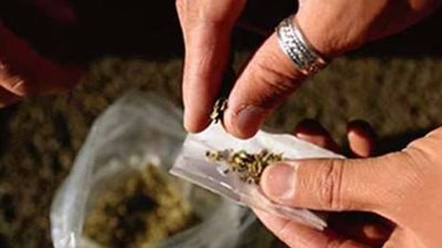 القبض على عاطل بحوزته 8 كيلو ستروكس للاتجار في إمبابة