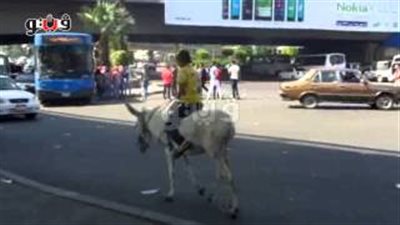 بالفيديو.. طفل يخترق إشارة «عبدالمنعم رياض» بحمار ويربك المرور