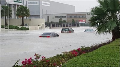 بالفيديو والصور.. 5 مشاهد لعواصف الإمارات.. إغلاق المدارس والجامعات.. تسجيل 253 حادثا مروريا.. الأمطار الغزيرة تتسبب في حدوث هبوط أرضي.. فتاة تصرخ بعد اقتلاع نافذة شركتها.. والرياح تقتلع الأشجار