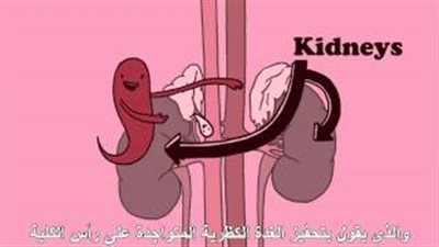 بالفيديو..تعرف على أسباب ظهور البثور