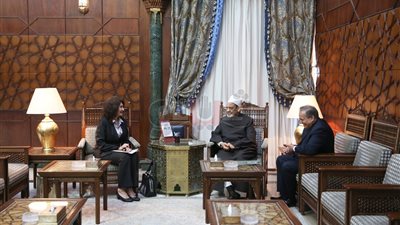 شيخ الأزهر: مساعدة اللاجئين الفلسطينيين واجب إنساني وأخلاقي