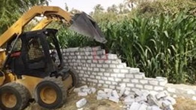 إزالة 12 حالة تعد على أراض زراعية بمركز الزينية في الأقصر (صور)