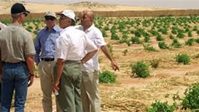 مشروعات مبارك تعود من جديد في برنامج السيسي.. «توشكي والظهير الصحراوي» الأبرز.. الأول يهدف لاستصلاح 4 ملايين فدان والثاني لإقامة مجتمعات حضارية.. وخبير اقتصادي يطالب بخطة خمسية لاستكمال 11 م