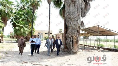 محافظ الشرقية: المباني والأشجار بـ«العباسة» غير مدرجة بالآثار