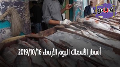 أسعار الأسماك اليوم الأربعاء 2019/10/16.. وكيلو البلطي بـ25 جنيها
