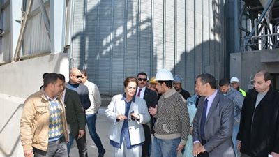 توريد 56 ألف طن قمح خلال أسبوع في البحيرة