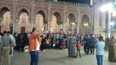 بالسيلفي والصور التذكارية.. زوار السيد البدوي يحتفلون بمولده (صور)