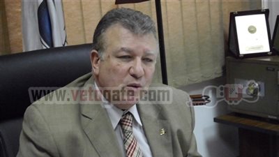 أمريكا تعرض على مصر خبراتها فى رصد مخالفات الأسواق