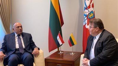 وزير الخارجية يعقد مباحثات مع نظيره الليتواني بالعاصمة فيلنيوس