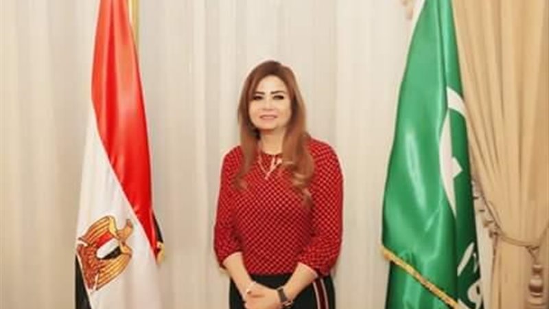  أمل رمزي، رئيس اللجنة