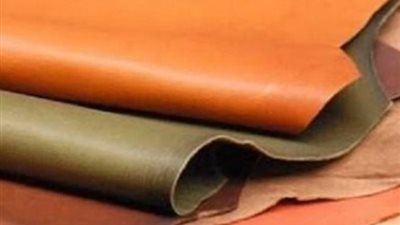 مصر تستضيف معرض الجلود الأفريقي الدولي الأول يونيو المقبل