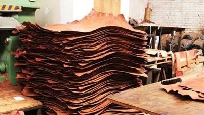 ياسر المغربى: صناعة الجلود أصبحت أحد التوجهات الرئيسية للدولة