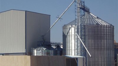 «التموين» تنفي حظر نقل القمح المحلي بين المحافظات