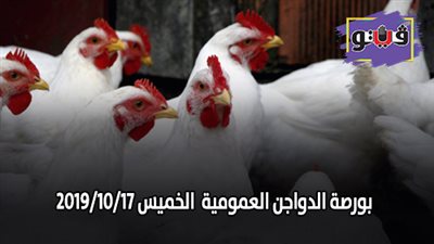 بورصة الدواجن العمومية | اسعار الدواجن اليوم الخميس 2019/10/17