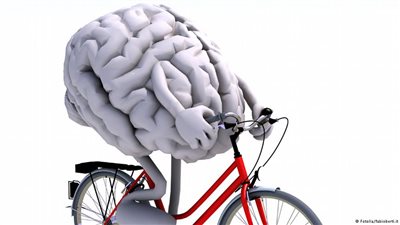 المخ الكبير يزيد الذكاء لكنه لا يخلو من المخاطر!