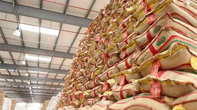 50.92 مليون دولار واردات مصر من الأرز خلال يناير الماضى