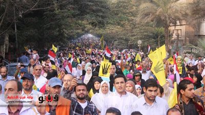 إرهابيو المعزول يناصرون 