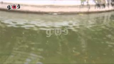 بالفيديو.. «البحيرة الملونة» تجذب زوار حديقة الأسماك