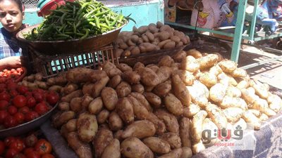 بالصور.. انخفاض أسعار الخضراوات والبطاطس بـ 4 جنيهات في الجيزة