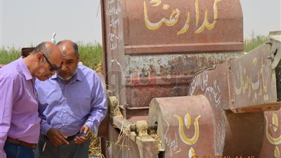 الفرافرة تحتفل بيوم الحصاد بعد زراعة 35 ألف فدان قمح (صور)