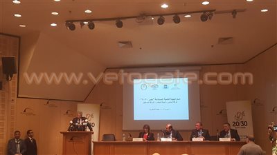 رئيس الغرف التجارية بالإسكندرية: إعادة التدوير الذكي يقضي على القمامة