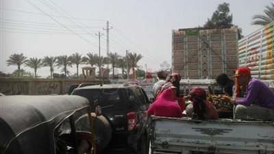 زحام مروري بطريق 36 الحربي بالشرقية بسبب توريد القمح (صور)