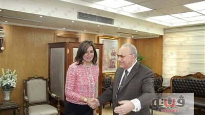 «العدل»: مشروع قانون جديد لإنشاء صندوق رعاية المصريين بالخارج