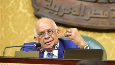 برلماني يوافق على زيادة مرتبات الدبلوماسيين.. وعبدالعال: مش من قلبك