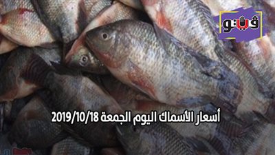 اسعار الأسماك اليوم الجمعة 2019/10/18.. وكيلو البلطي بـ26 جنيها