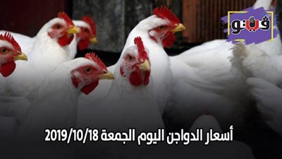 بورصة الدواجن.. اسعار الدواجن اليوم الجمعة 2019/10/18
