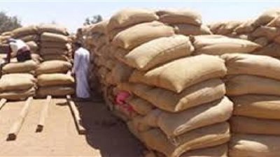 توقعات بارتفاع سعر القمح عالميا في ديسمبر