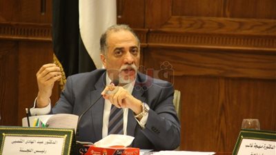 رئيس تضامن النواب: المجلس القومي لرعاية الأيتام له هدف نبيل