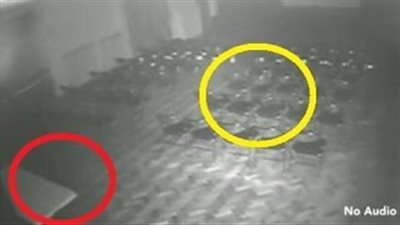 بالفيديو.. ظهور 