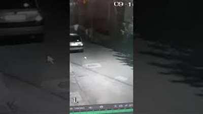 نهاية مروعة للص سرق حقيبة امرأة (فيديو)