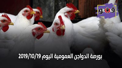 بورصة الدواجن الرئيسية.. اسعار الدواجن البيضاء اليوم 2019/10/19
