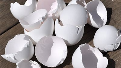 8 استخدامات غير متوقعة لقشر البيض في المنزل