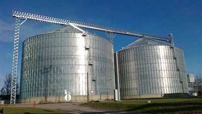 توريد 4.7 آلاف طن قمح بالصوامع والشون في القليوبية