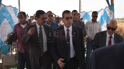 استنباط أنواع عالية الجودة من القمح بالفيوم (فيديو)