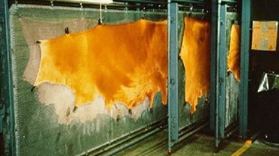 «صناعة الجلود» تخاطب أعضاءها للمشاركة في معرضين بالمغرب والسعودية