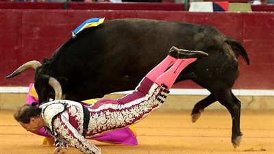 ثور يصر على مهاجمة رجل حتى أصابه بنوبة قلبية (فيديو وصور)